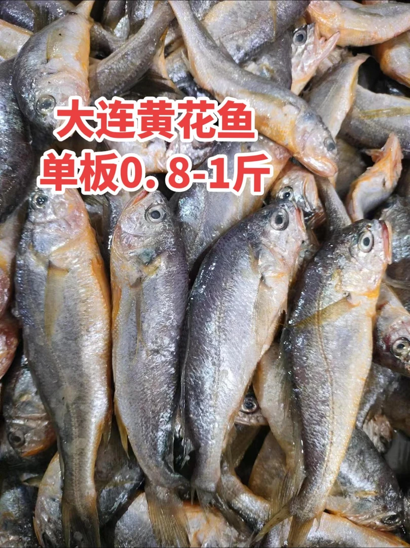 【大连本地小黄花鱼】到手四板（一板0.8-1斤） 顺丰包邮