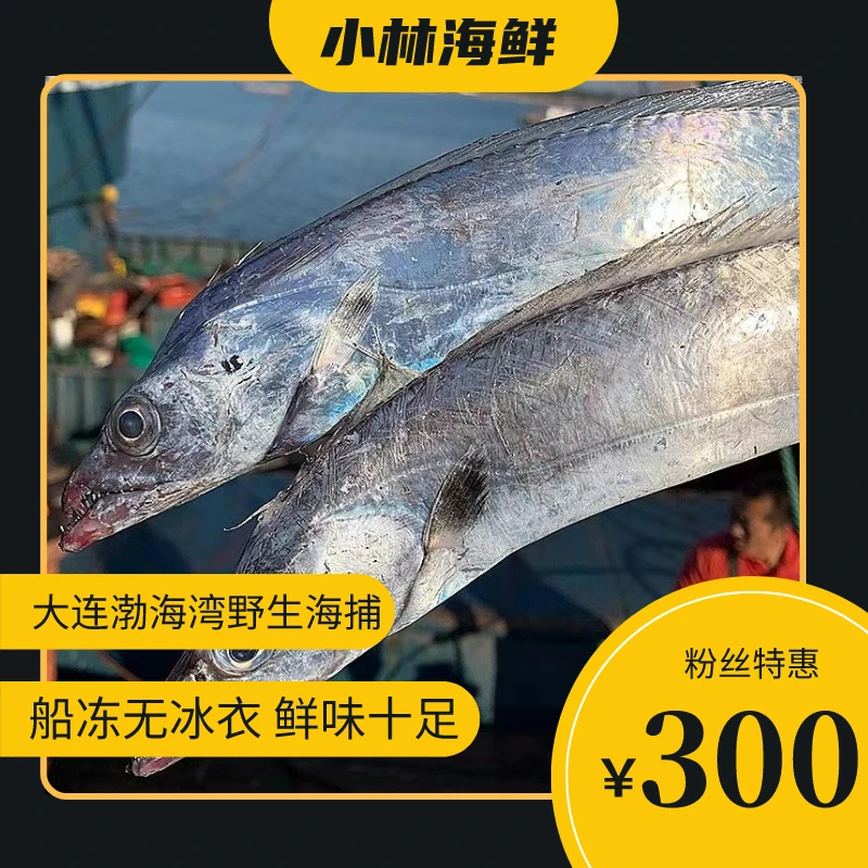 【小林盛成】【大连渤海湾大刀鱼】现场称重  单条0.6斤～2斤可选规格