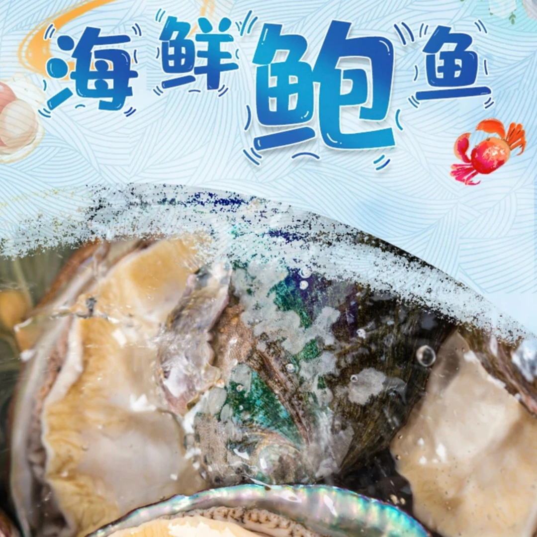 名贵高端食材 中国西沙群岛直供 高端海鲜鲍鱼 18头