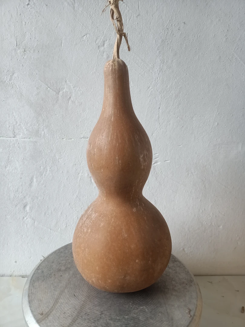 收藏八年的老葫芦，