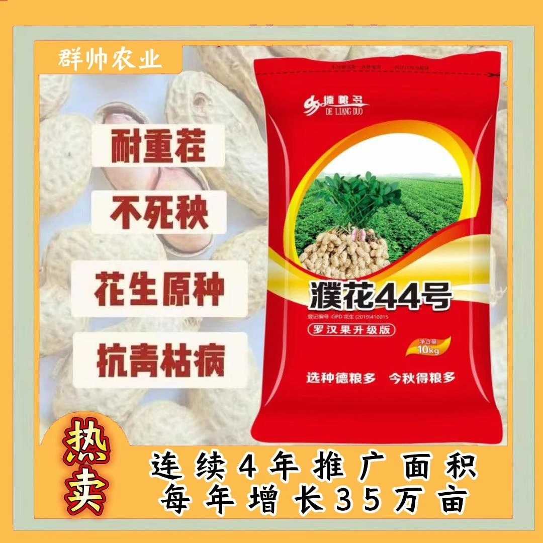 原种花生濮花44耐重茬不死秧抗青枯出油高出籽花生高产花生种子