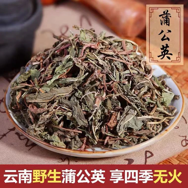 蒲公英中药材正品蒲公英婆婆丁蒲公英茶泡水喝蒲公英粉蒲公英根茶