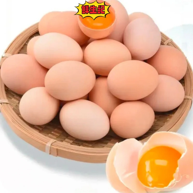 新鲜土鸡蛋原生态农家散养土鸡蛋自产自销鸡蛋河南鸡蛋 45-50g