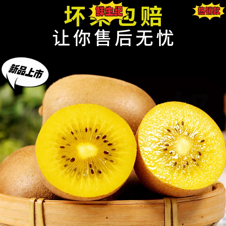【坏果包赔】四川蒲江黄心猕猴桃新鲜纯甜奇异果现摘变软香甜好吃