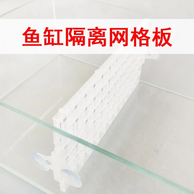 鱼缸隔网隔离板水族箱缸内塑料隔断网分隔隔离挡板吸盘白色挡板