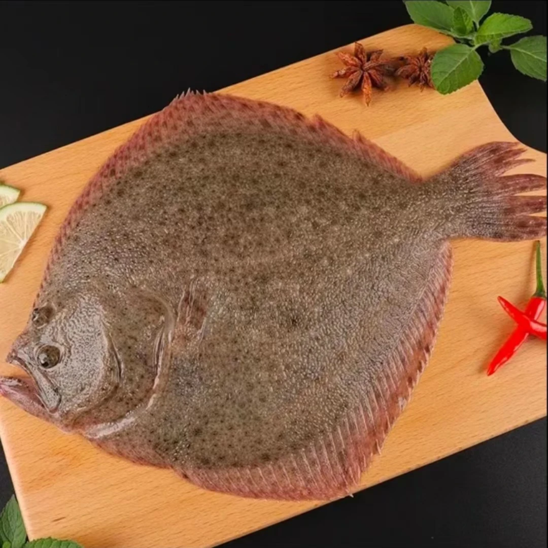 （1）鱼夫岛新鲜速冻肉质鲜美野生多宝鱼200g- 300g/条*10条