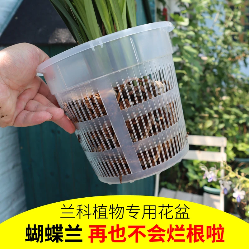 蝴蝶兰花盆专用盆高档控根盆营养钵塑料杯透明营养杯育苗杯专用杯