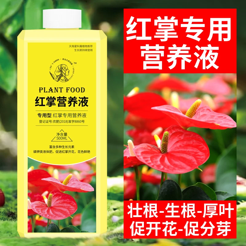 红掌专用肥料水培红掌白掌营养液叶子发专用肥红掌营养液