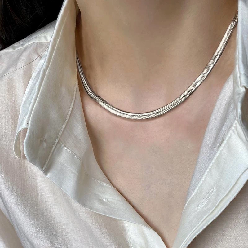 钛钢项链 蛇骨项链男潮流高级感小众嘻哈男士链子百搭男生锁骨链