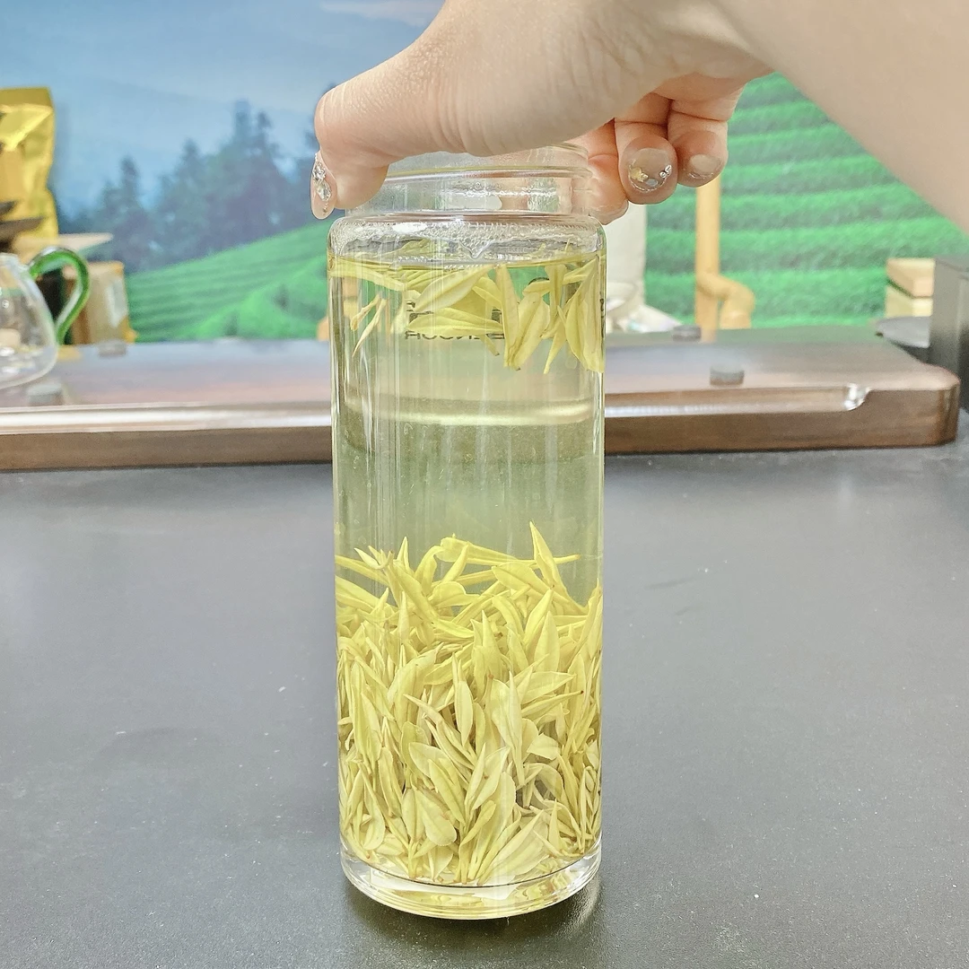 【天花板 奶香十足】2024年新茶春茶品质好茶茶农直销安吉白茶