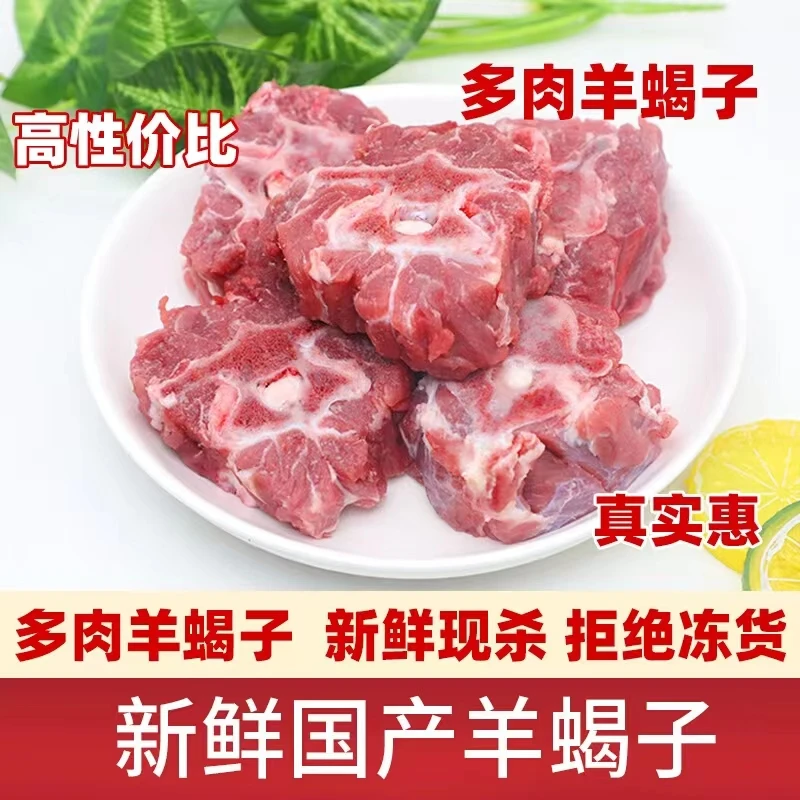 4斤满肉羊蝎子 有肉有骨髓 新鲜羊剃的羊蝎子