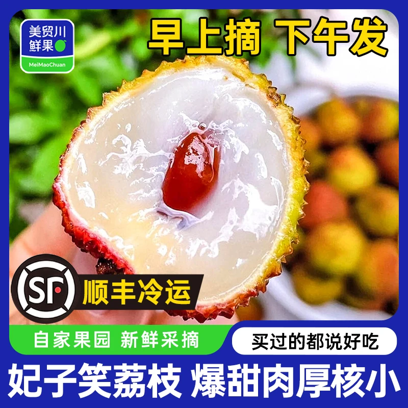 【顺丰包邮】海南妃子笑荔枝 坏果包赔美贸川源头直发香甜新鲜爆汁