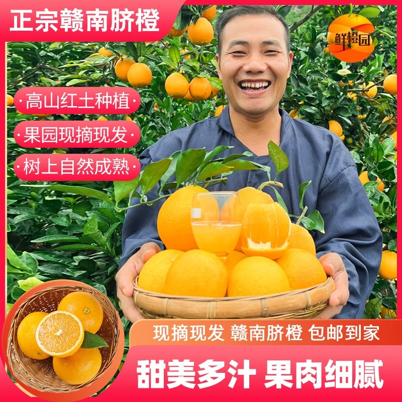 偏远地区现摘现发赣南脐橙时令生鲜水果鲜甜肉厚10斤装