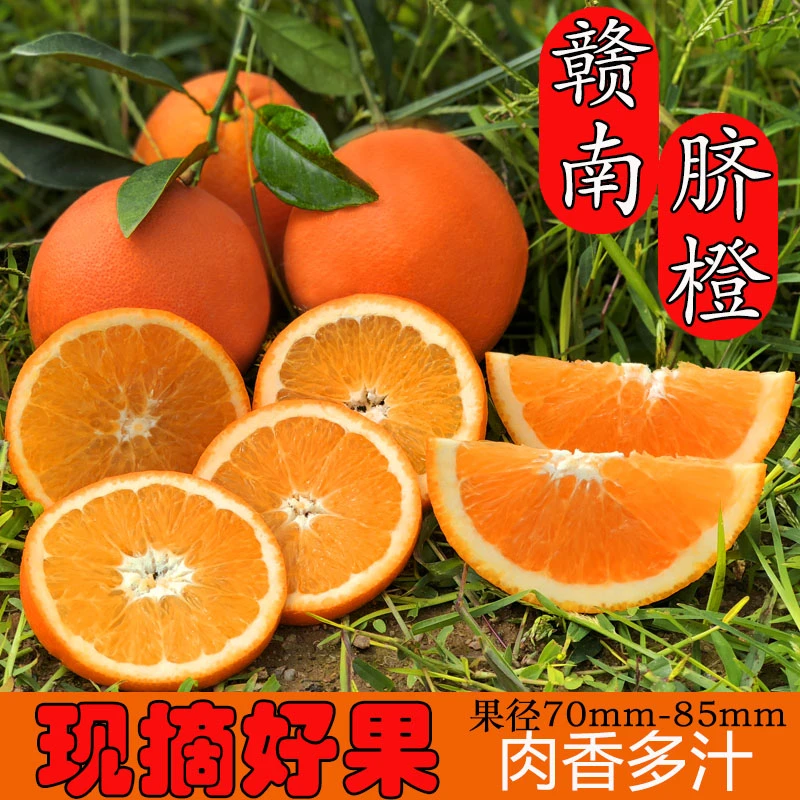 江西正宗赣南脐橙新鲜孕妇当季水果十斤甜橙子现摘现发二十斤包邮