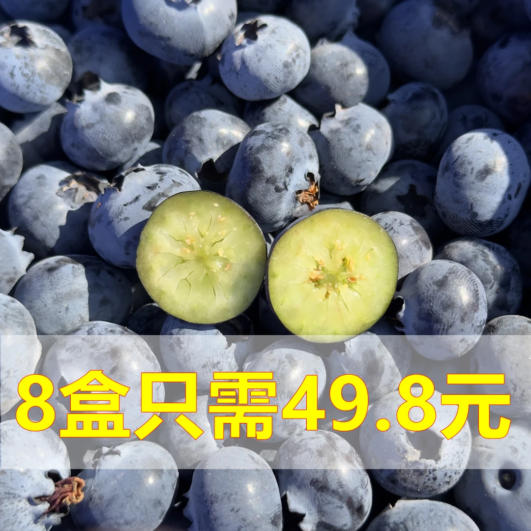 【顺丰冷链】8盒新鲜蓝莓 125克/盒四川大凉山高山露天种植坏果包赔