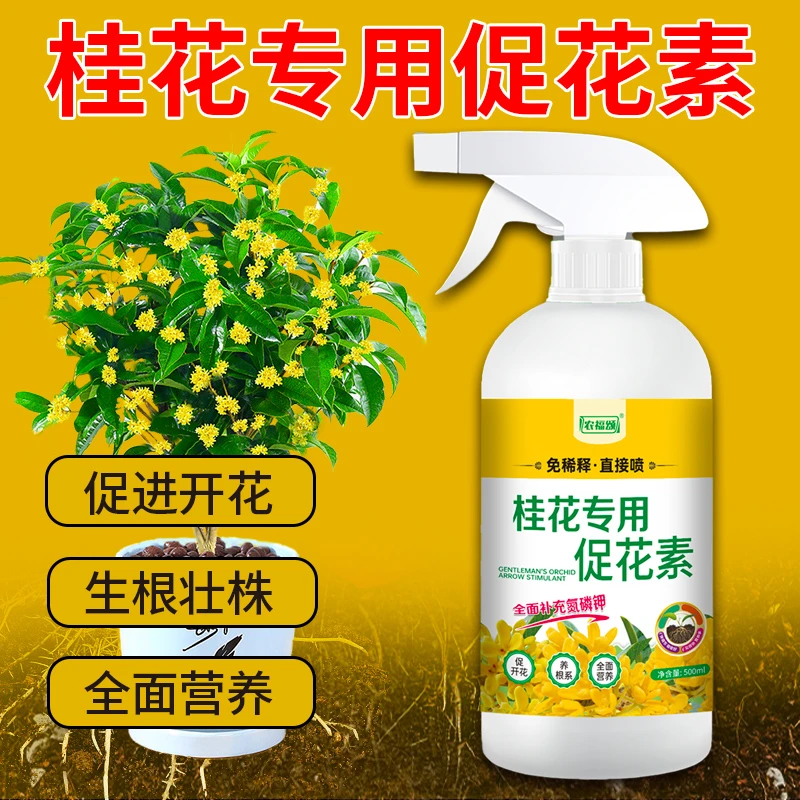 桂花树肥料家用四季桂金桂营养液治干叶促开花有机液体叶面水溶肥