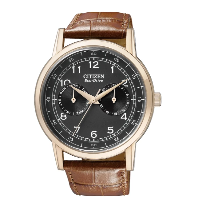 Citizen/西铁城AO9003-08E双日历简约光动能腕表