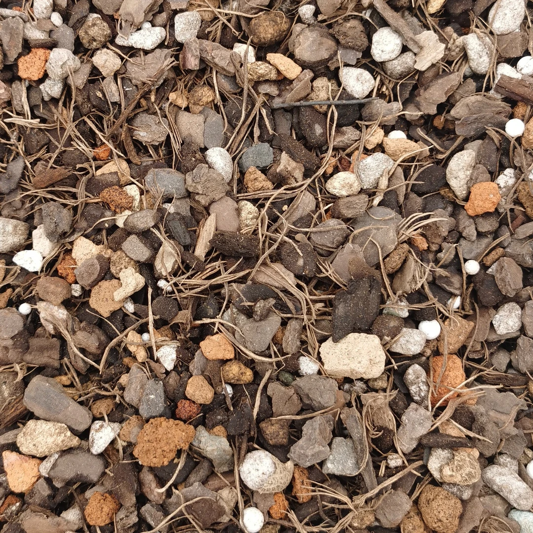 再生兰花植料6升