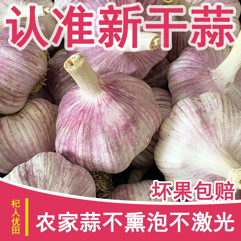 新粉！前100单！5斤2025农家新干蒜紫白皮大蒜产地直发大蒜头大蒜