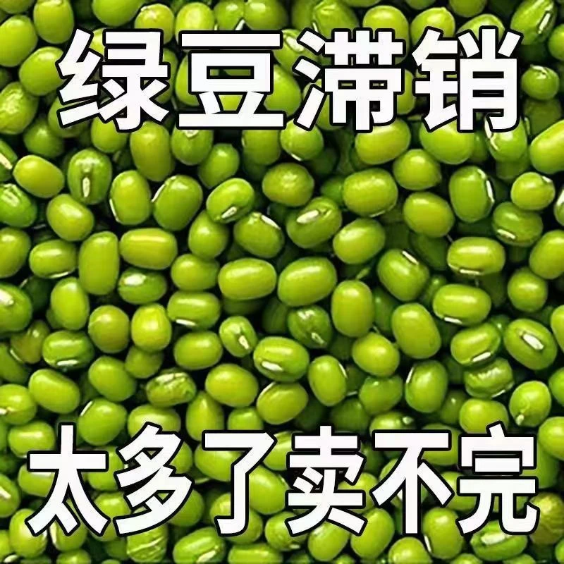 正宗东北农家新绿豆绿豆粥绿豆汤笨绿豆发豆芽新鲜小绿豆整箱批发