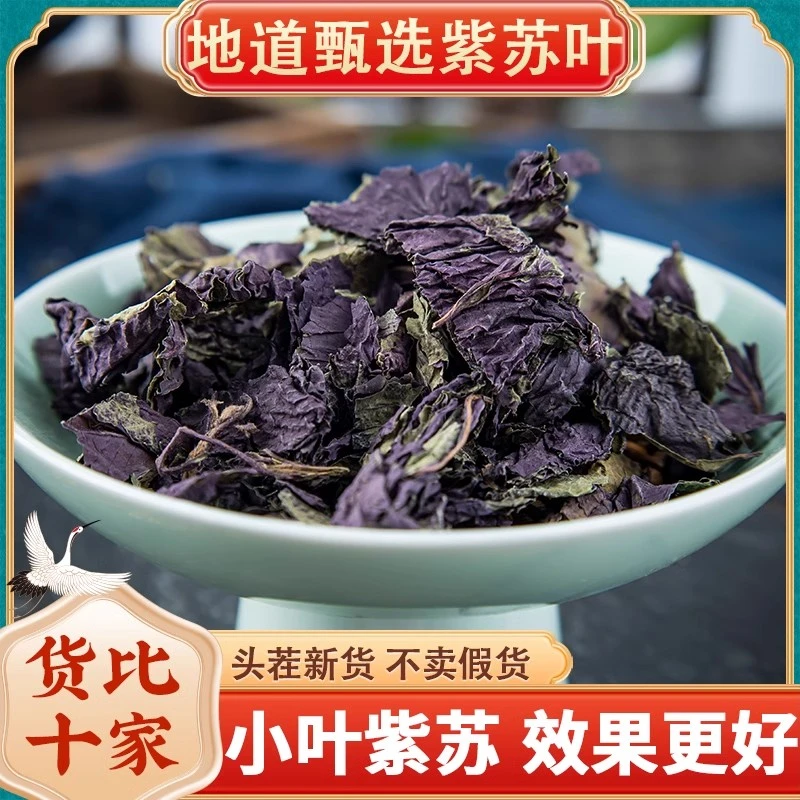 紫苏叶中药材紫苏叶泡水紫苏叶干泡茶泡脚小叶紫苏叶粉