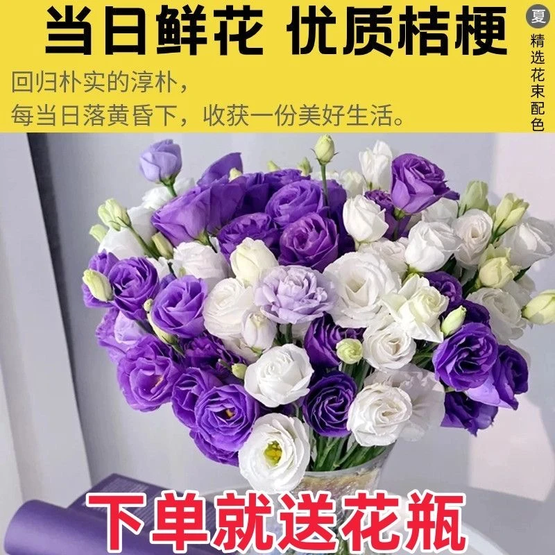 云南昆明基地直发洋桔梗龙胆花真鲜切花花束室内水养鲜花混搭批发