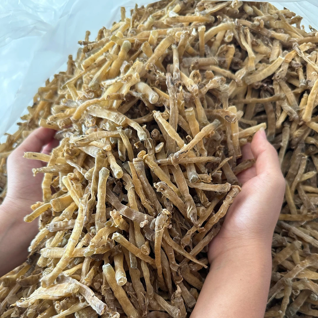 北海西沙小沙虫干 足干无沙餐饮店适用便宜优惠熬汤煮粥汤底偏黑