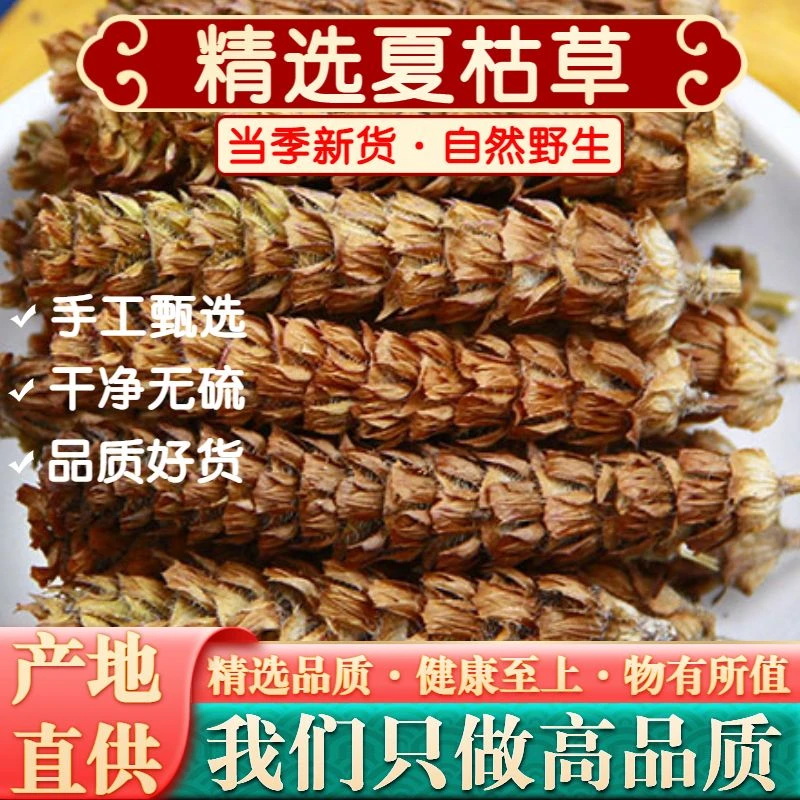 大别山野生夏枯 夏枯草泡茶白毛草药夏菇草散结 泡水煲汤20g姜