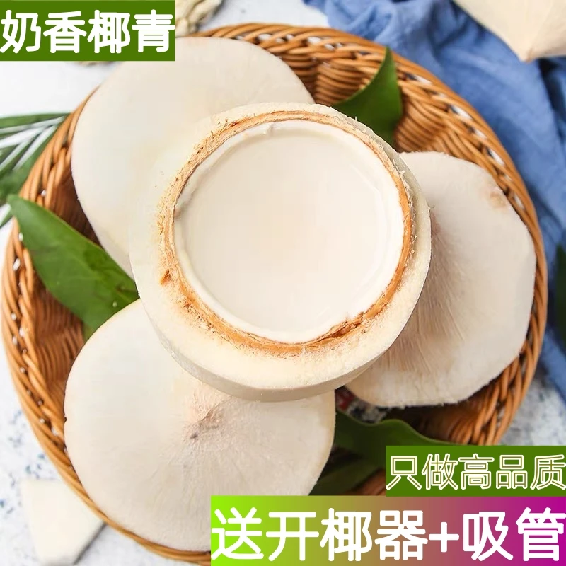 泰国香水椰青单果700-900g新鲜椰子水解渴鲜嫩  送椰器+吸管