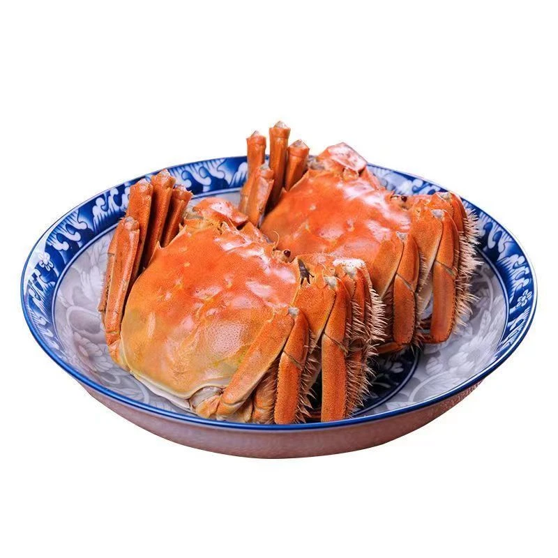 现货活蟹淡水鲜活 螃蟹1.3-1.6两 全母蟹 买10送2 共12只