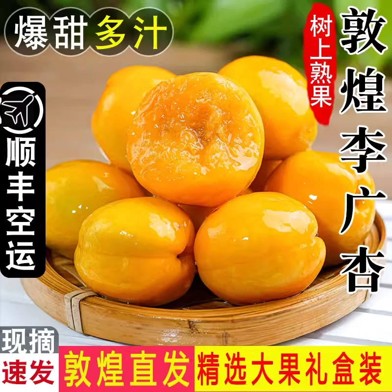 【顺丰空运】李广杏敦煌水果新鲜杏子5整箱当季时令甘肃特产包邮9