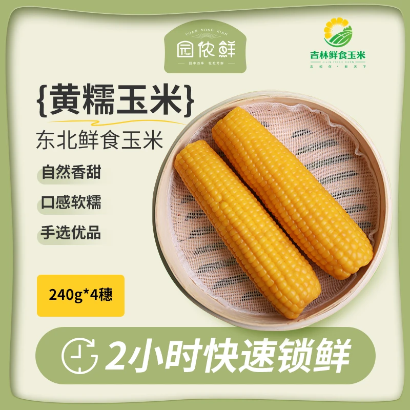 【东北黄糯9】大棒10穗240g起真空包装+彩箱黄糯玉米早餐代餐高品质