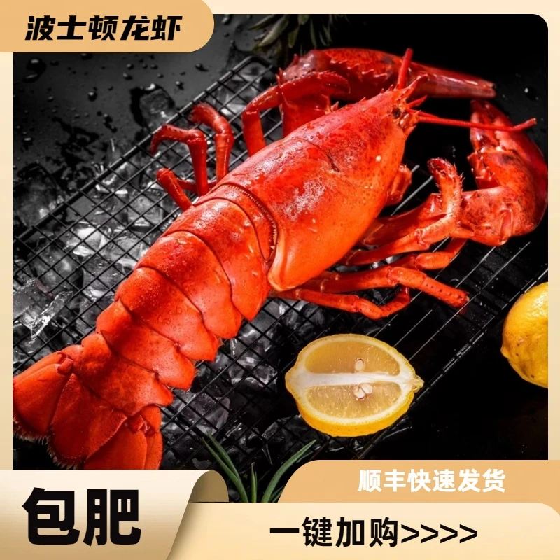 【波士顿龙虾】四斤规格冰鲜刚断氧波士顿龙虾出肉率高冷冻发货新鲜
