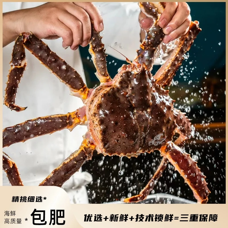 【红精帝王蟹】3斤规格挪威鲜冻帝王蟹冷冻发货
