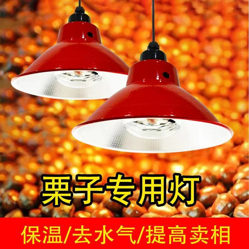 板栗子保温专用灯220v小吃摊位照明仔猪取暖红外线灯鸡仔家禽养殖