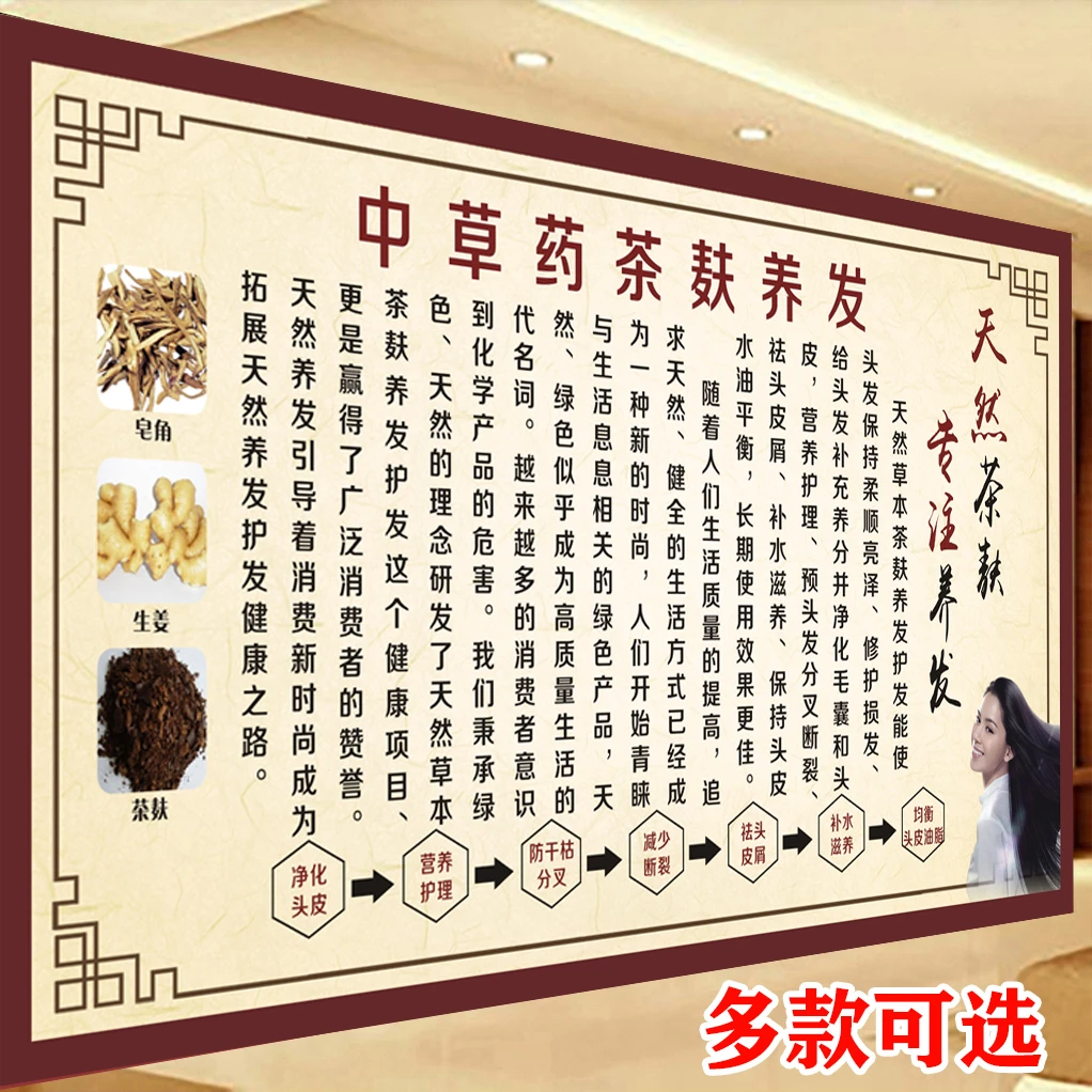 茶麸生姜洗头功效作用好处海报广告画植物中草药养护发挂图墙贴纸