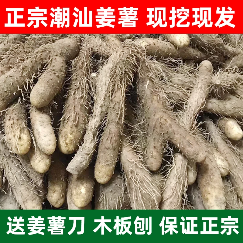 新鲜姜薯潮汕特产棉湖姜茨薯现挖农家自种甜品清爽滑口野山药包邮