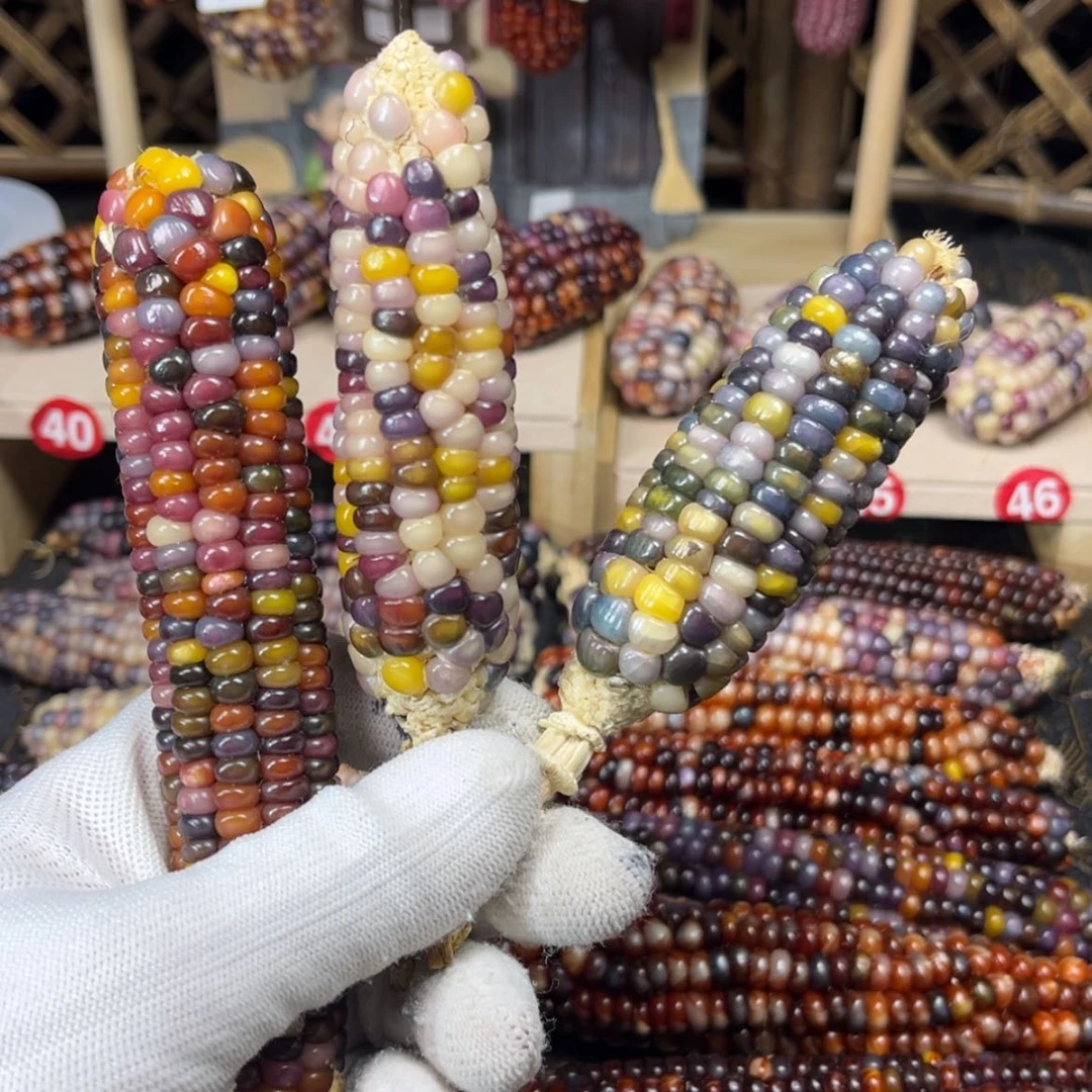 【闪购商品】毛料三根