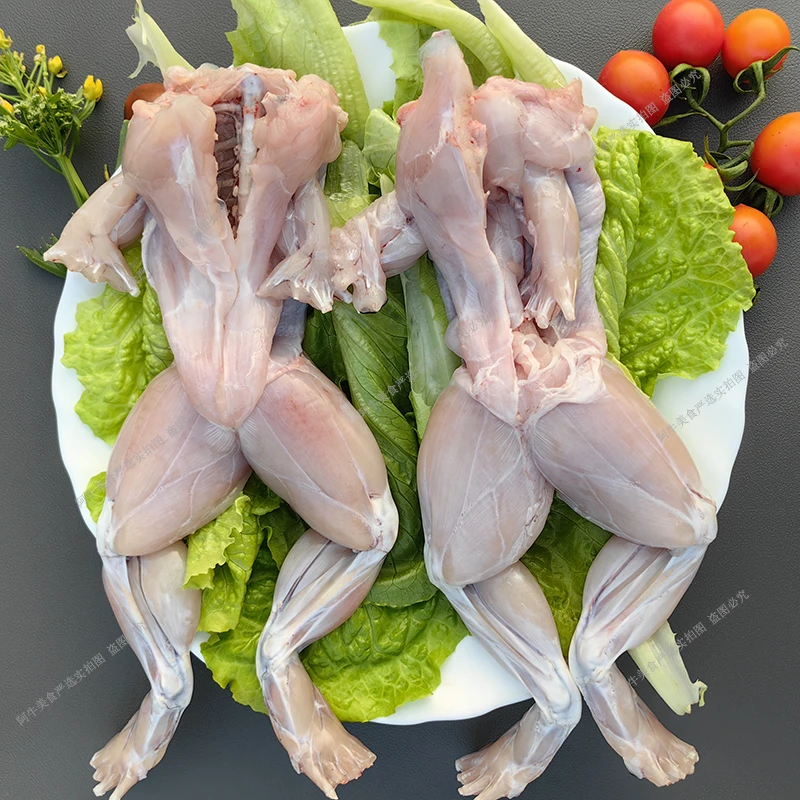 牛蛙鲜活直播现杀新鲜田鸡肉稻田特大蛙腿真空餐饮麻辣食材火锅cp