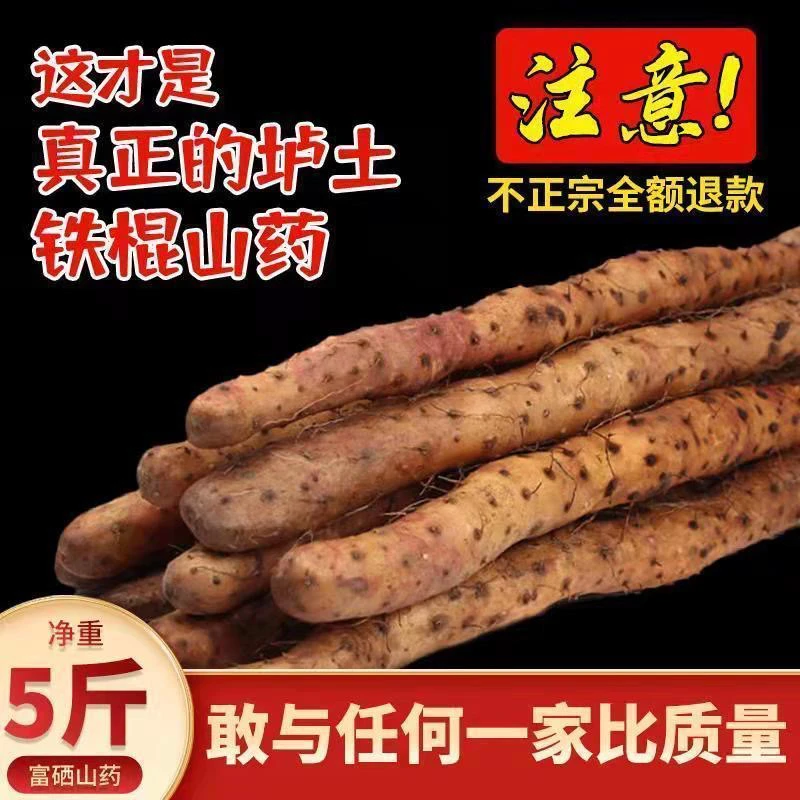正宗垆土铁棍山药河南焦作温县特产垆土铁棍新鲜山药怀山药产地