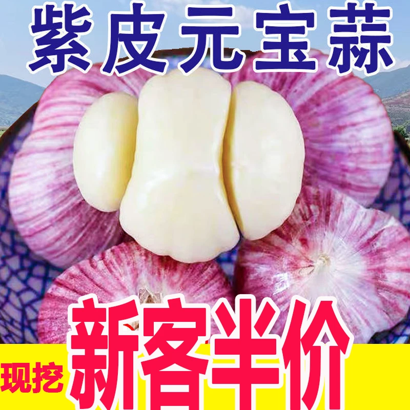 2024年云南新鲜紫皮三丫蒜1/5斤紫皮蔬菜大蒜红蒜瓣蒜非独头蒜