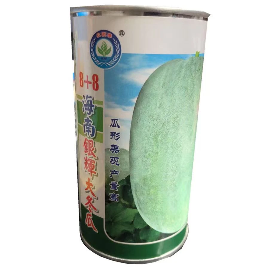 8+8海南银灰大冬瓜杂交果大肉厚圆筒型高产白粉色大型冬瓜种子