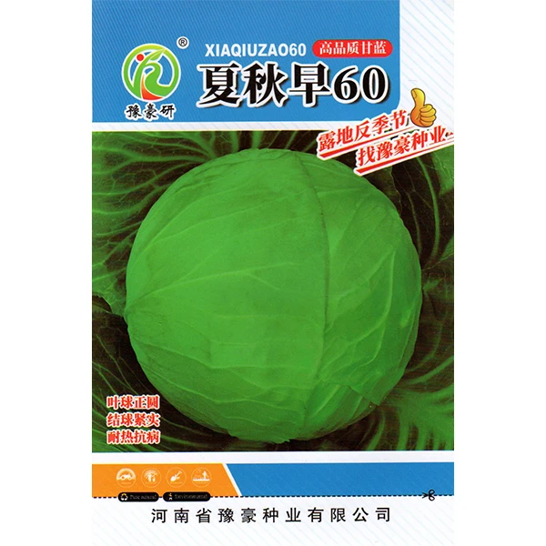 夏秋早60早熟夏秋圆球甘蓝种子抗热耐热脆嫩蜡粉少耐抽薹蔬菜种子