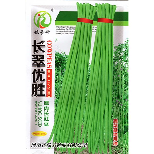 长翠优胜中早熟春夏秋三季可大面积播厚肉长条采摘园用豆角种子