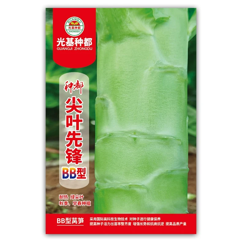 耐热 青尖叶莴笋种子 种都尖叶先锋BB型种子10g