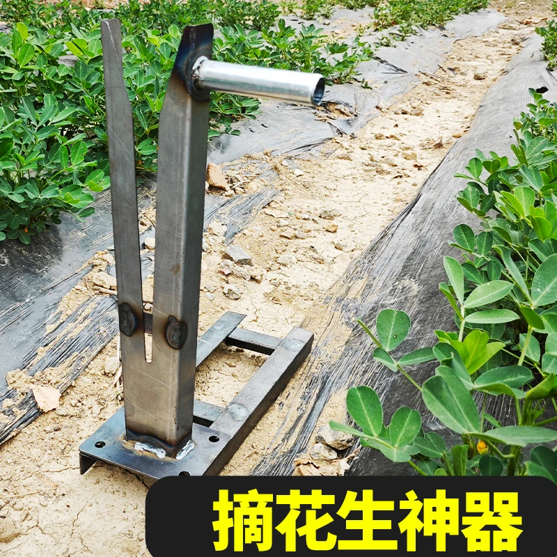 摘花生神器摘果机脱花生分离器加厚脱粒机家用脱花生工具手动夹子