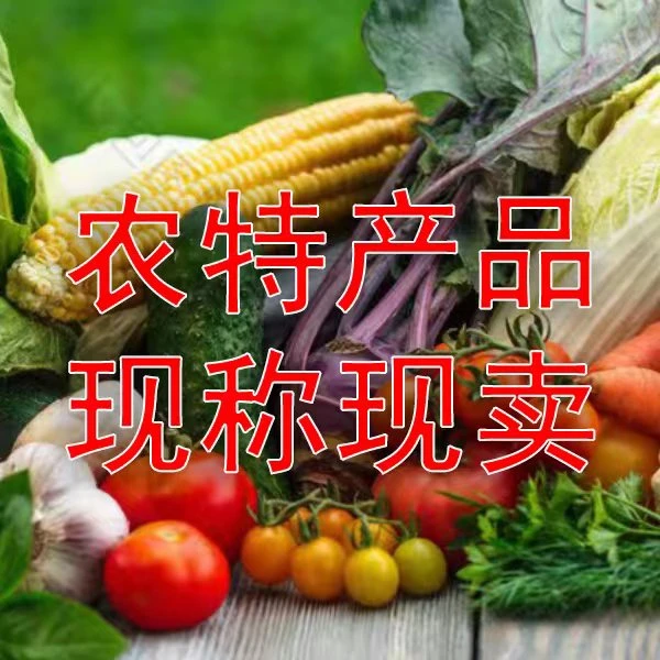 酸姜 凉拌酸菜  顺丰