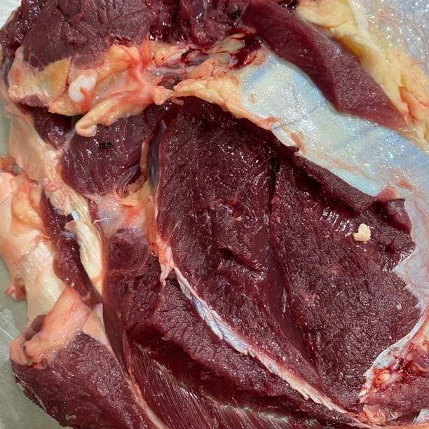 【江苏发货】草膘牦牛大块牛前肉/前胸肉  4斤 不保证黄油 顺丰