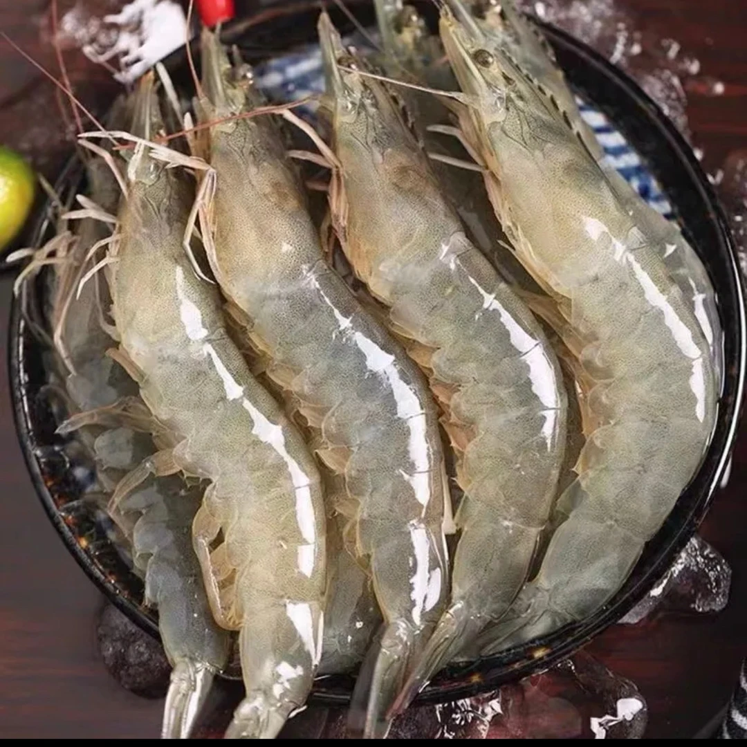 盐冻海水大虾 桑塔3040规格  净重3.3-3.5斤 无激素 顺丰