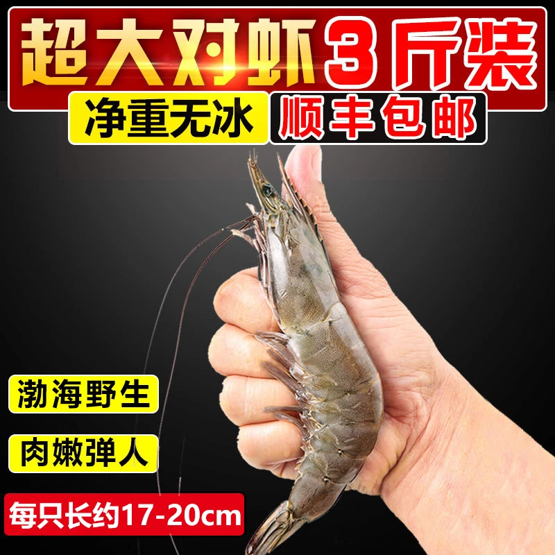 大连渤海虾鲜活超大对虾青虾基围虾白虾新鲜海鲜冷冻1500g顺丰